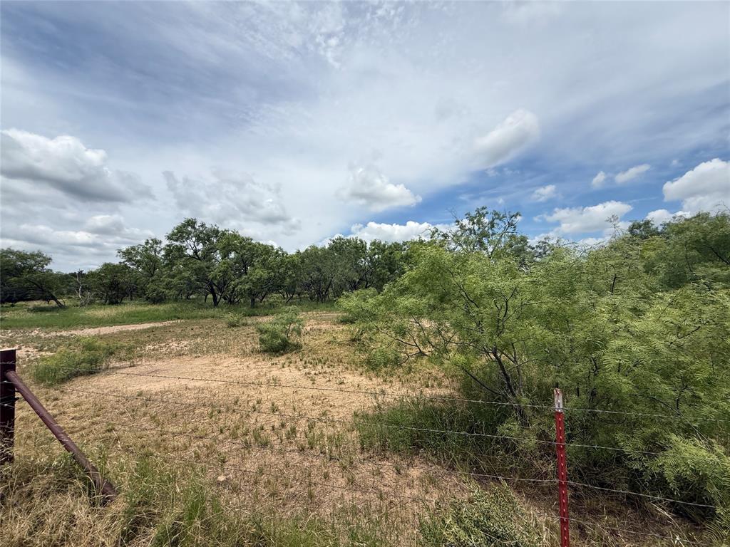 Tbd Coppic Ranch Road Brownwood, TX 76801 - Photo 2 of 13