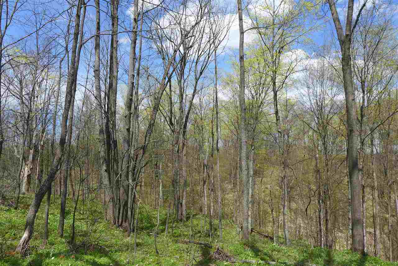 6777 Peters Road Boyne Falls, MI 49713 - Photo 32 of 57 1831661-31.JPG