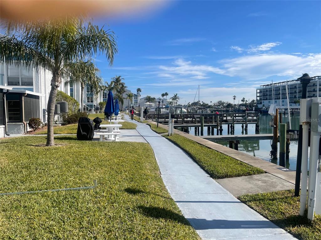 159 Medallion Boulevard, Unit E Madeira Beach, FL 33708 - Photo 13 of 15 a view of a swimming pool with a lawn chairs and palm trees