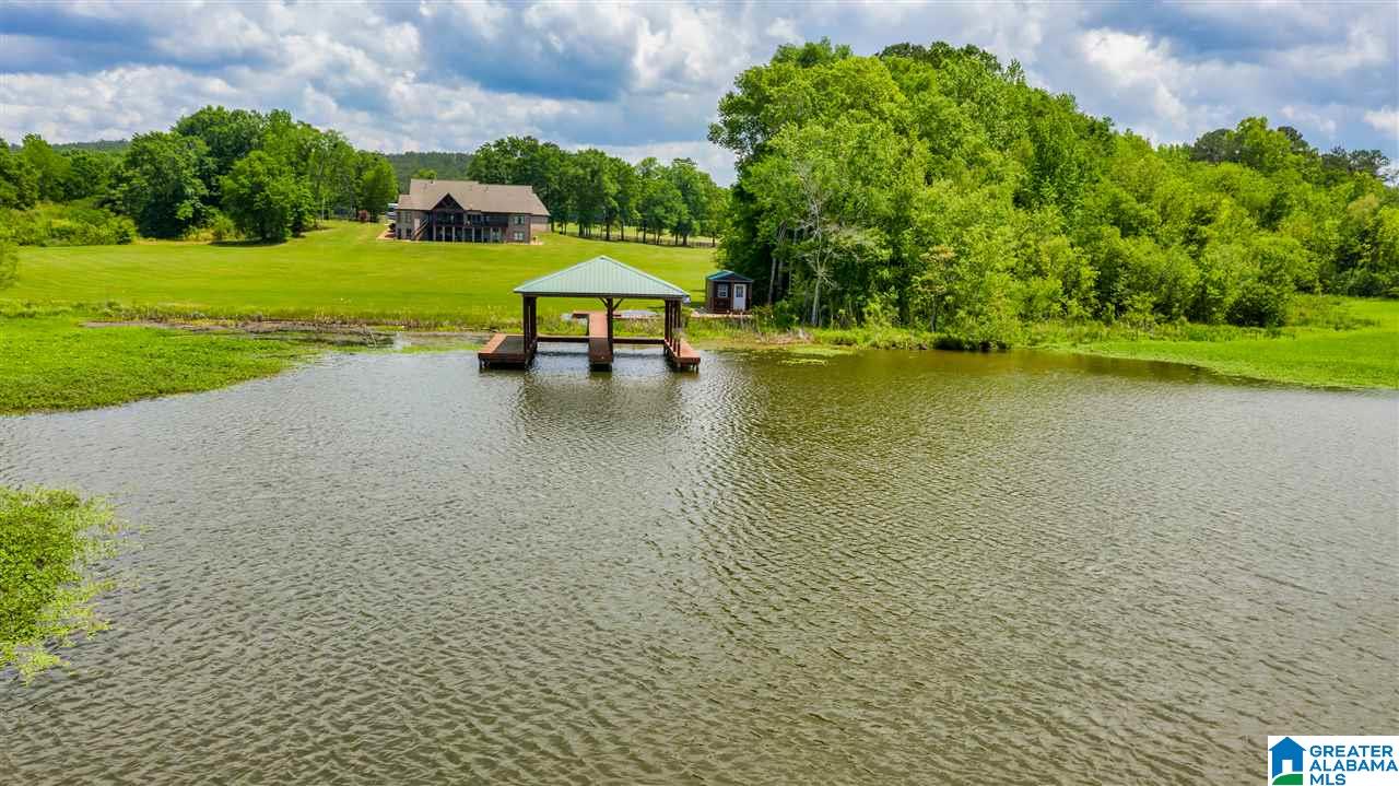 4371 McGowans Ferry Road Childersburg, AL 35044 - Photo 31 of 47