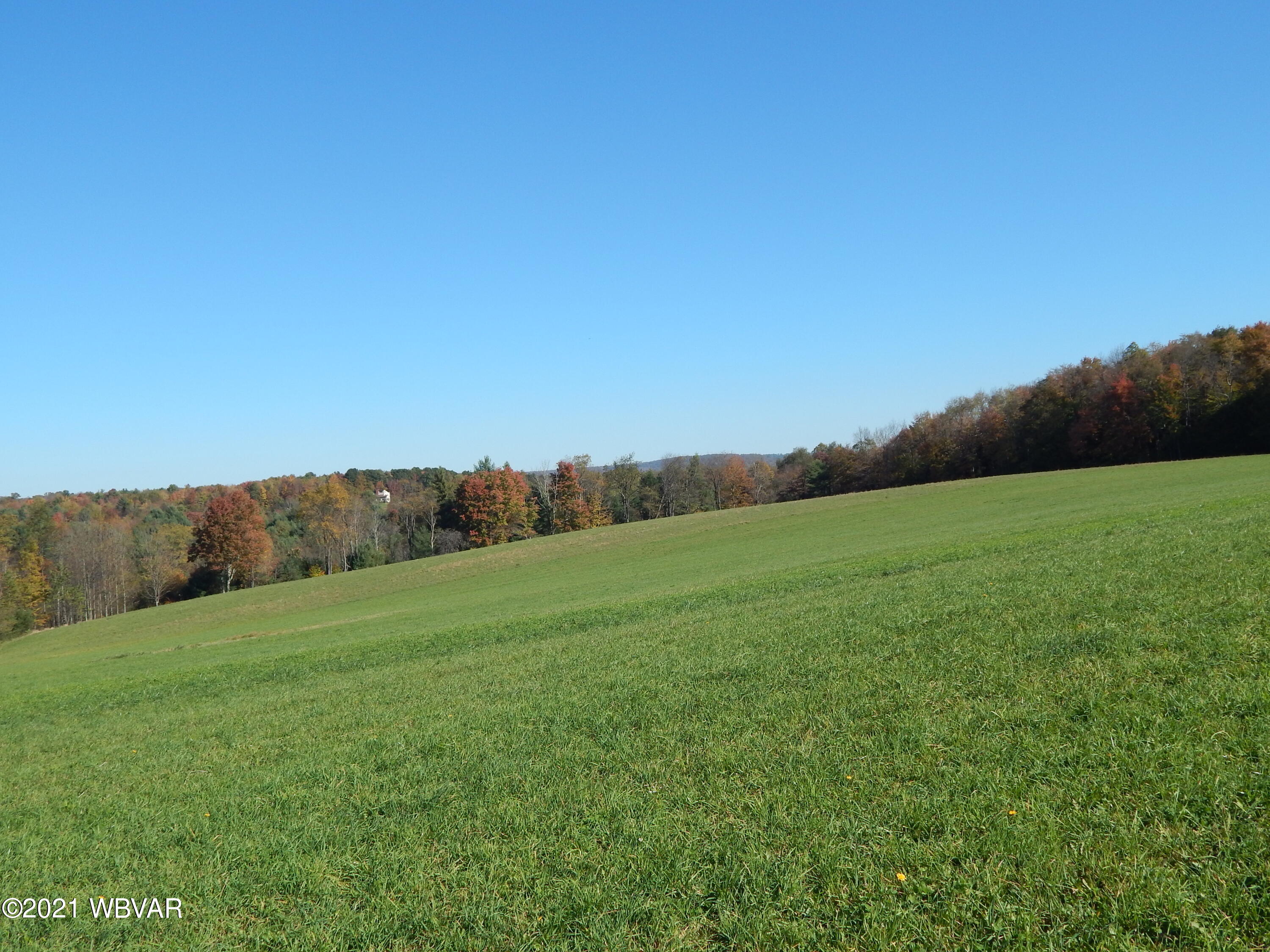0 Cogan House Road, Unit LOT 1 Trout Run, PA 17771 - Photo 4 of 7 Gallery Image 4