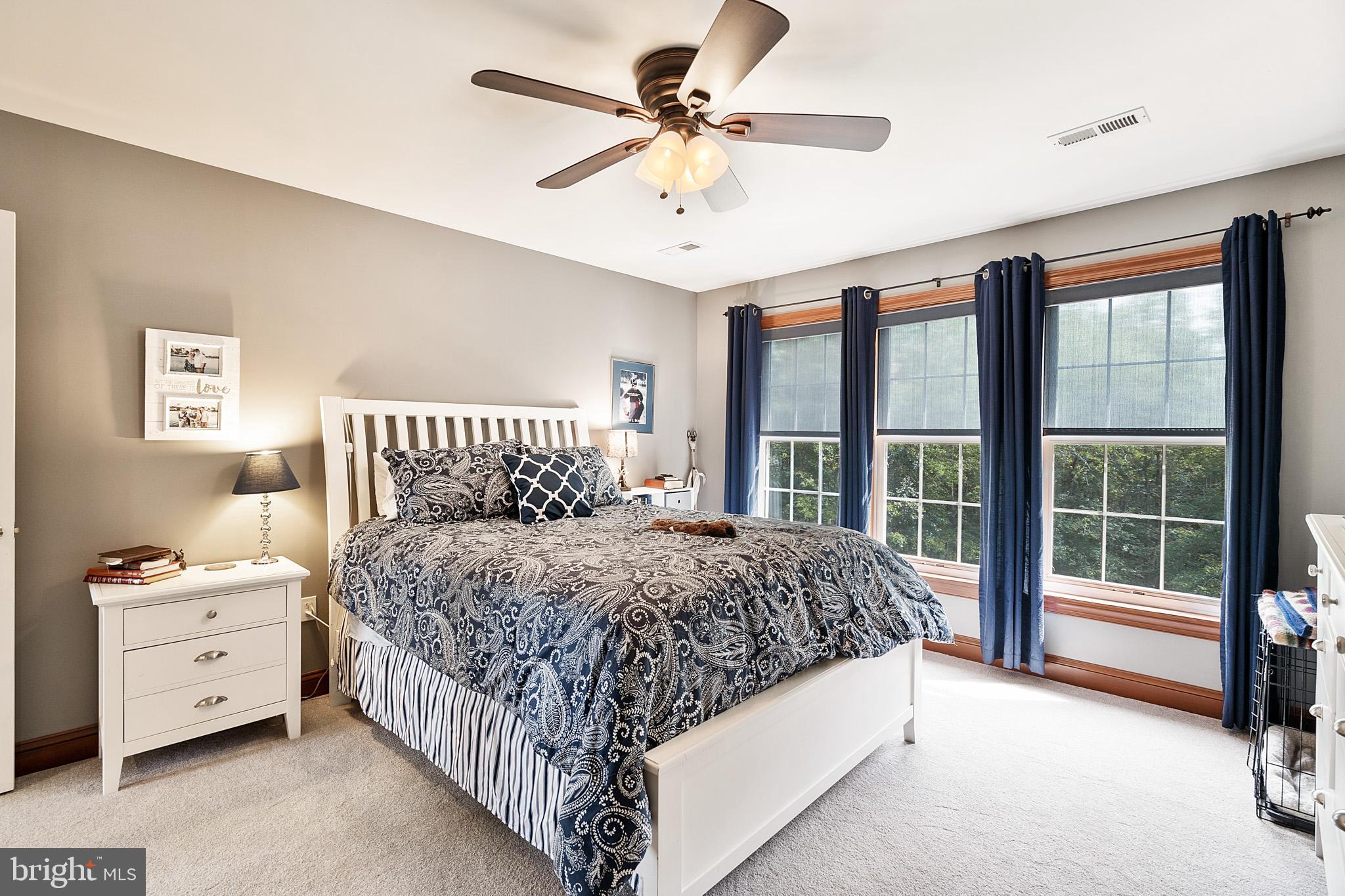 7019 Olinger Road Marshall, VA 20115 - Photo 19 of 40 Master BR w/ new carpet