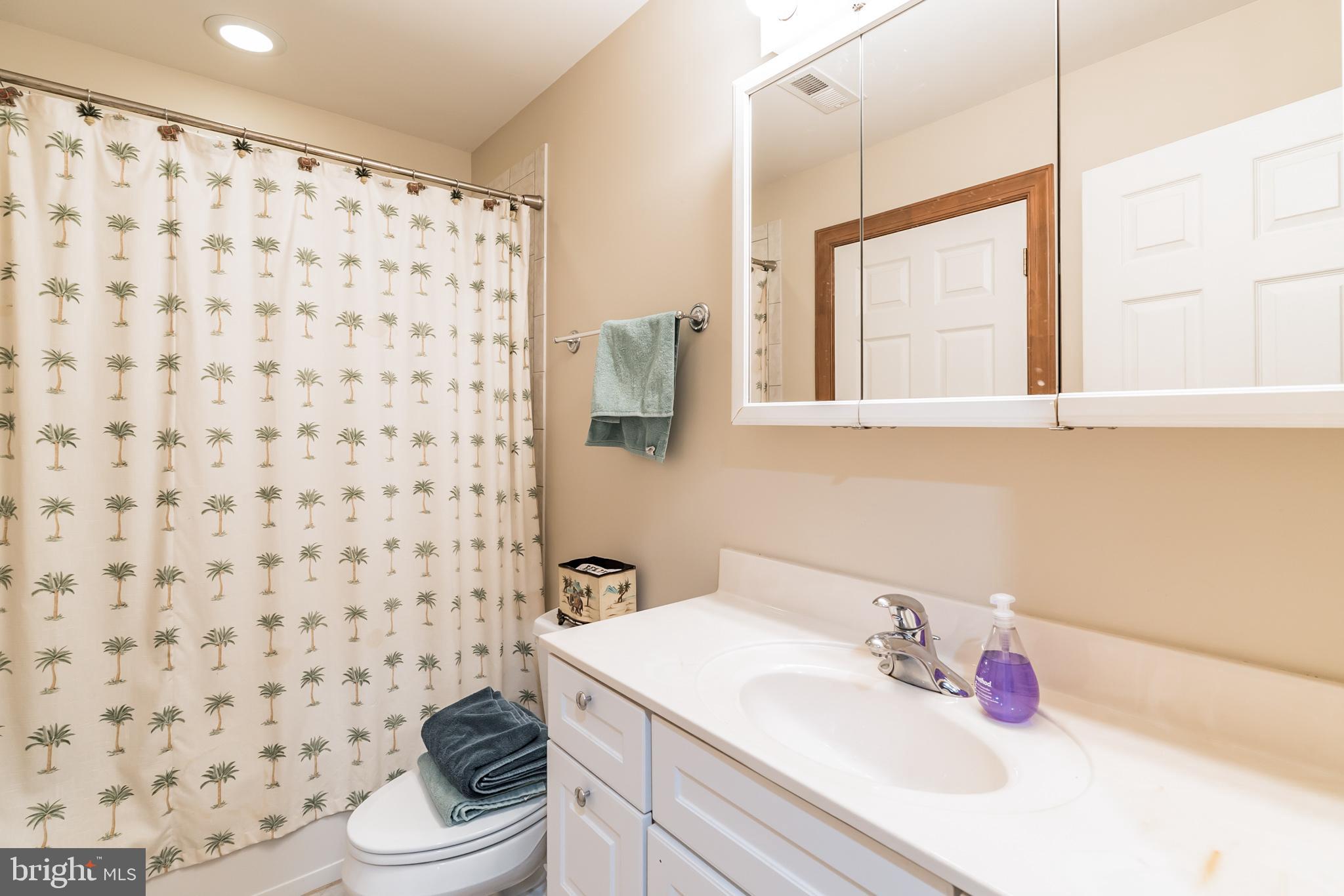 7019 Olinger Road Marshall, VA 20115 - Photo 27 of 40 UL Full Bath