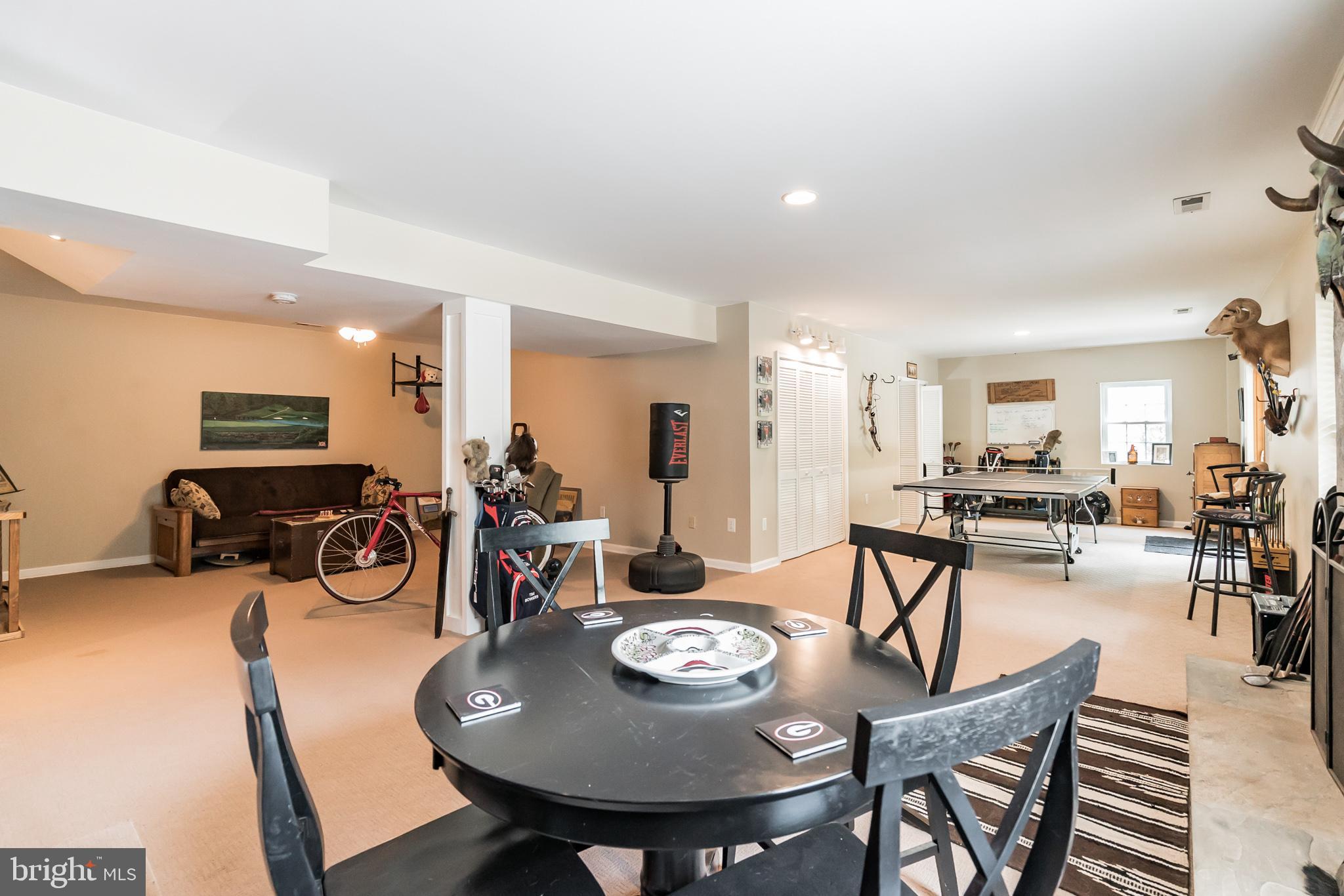 7019 Olinger Road Marshall, VA 20115 - Photo 29 of 40 Recreation Area in Basement