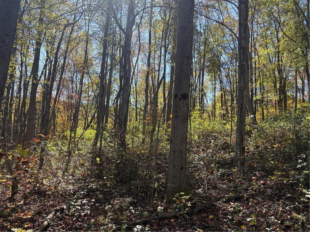 103 Wash Run Road White, PA 15490 - Photo 31 of 35