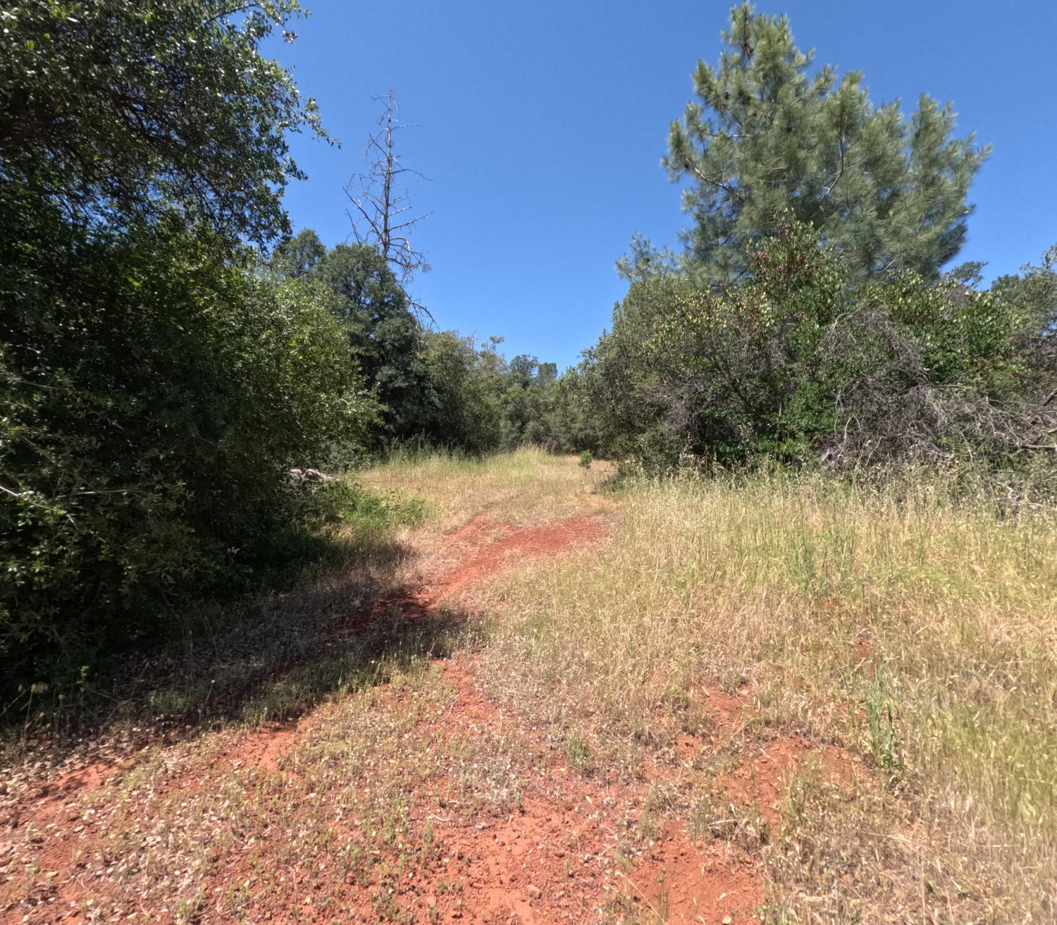 0 Hazen Road Manton, CA 96059 - Photo 4 of 11