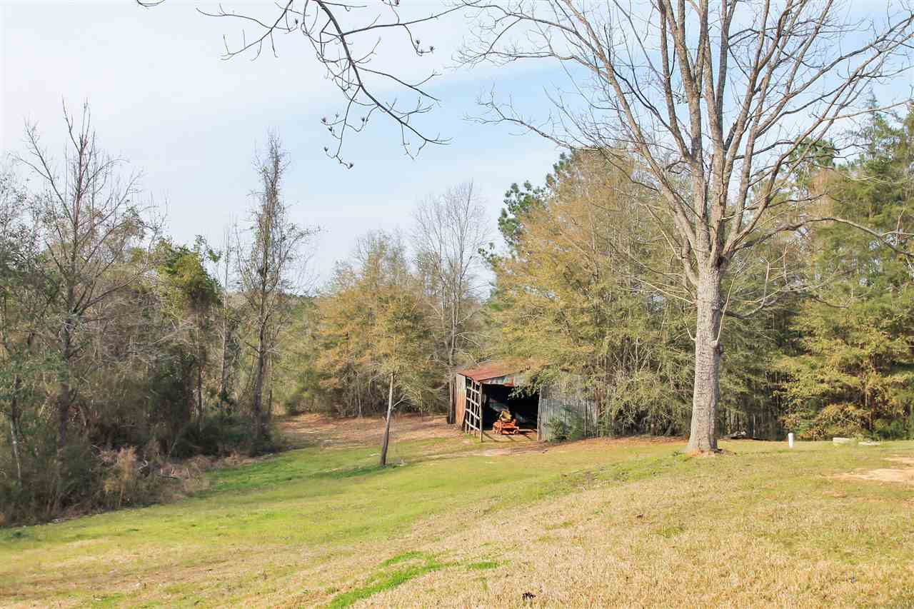 403 Dewitt Flynt Road Mendenhall, MS 39114 - Photo 34 of 50 Photo 34