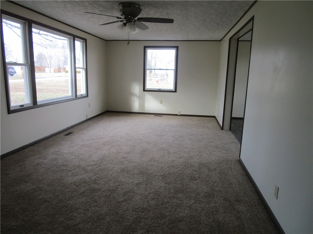 100 Dodson Road Pana, IL 62557 - Photo 6 of 16