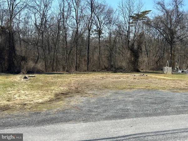 a view of a yard with a trees