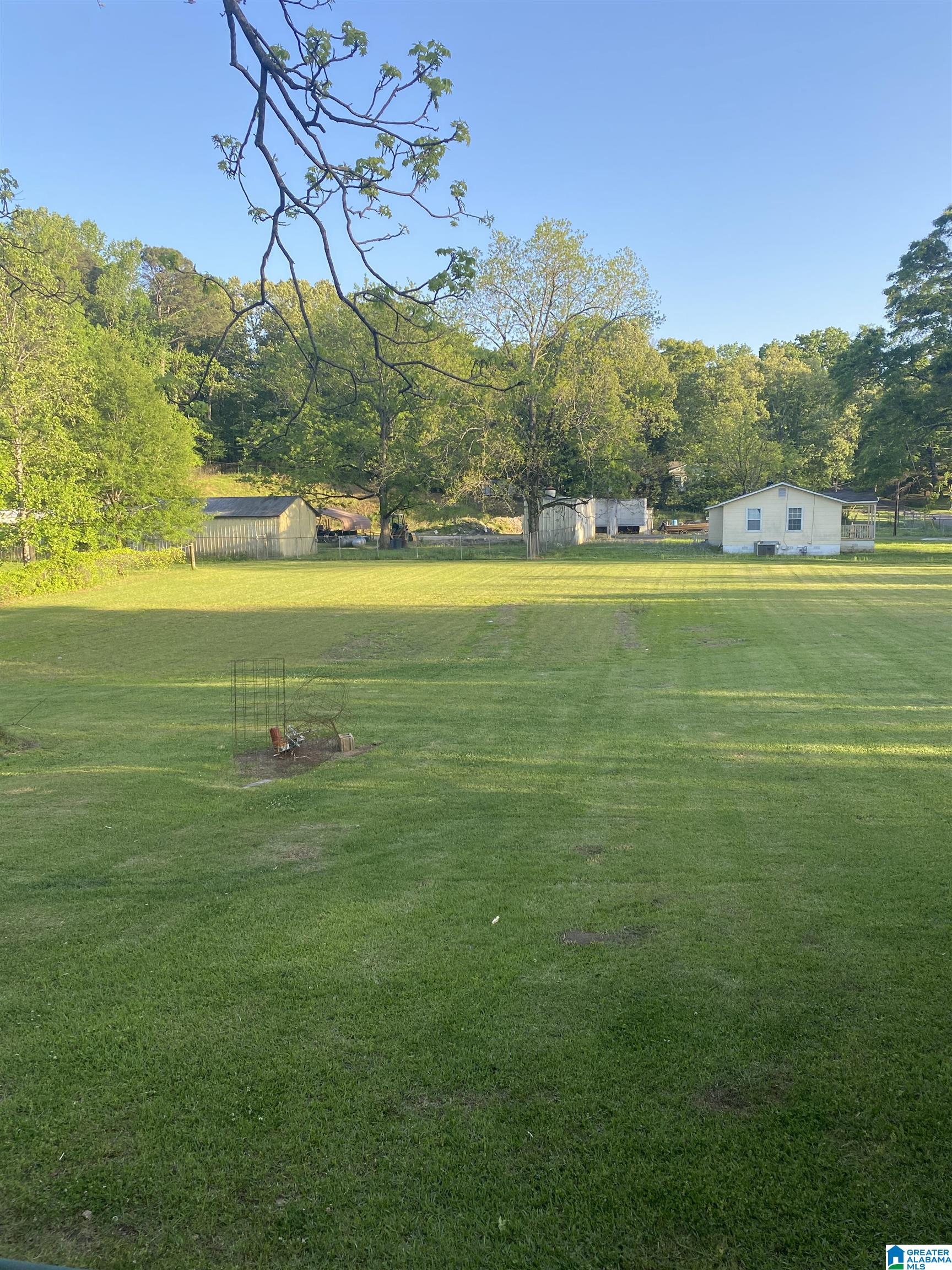 6369 Swann Road Mount Olive, AL 35117 - Photo 4 of 4