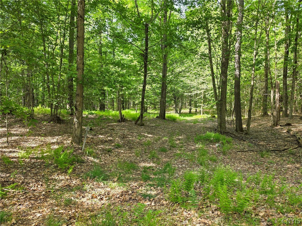 2 Tamblin Ridge Trail Bernhards Bay, NY 13028 - Photo 4 of 12