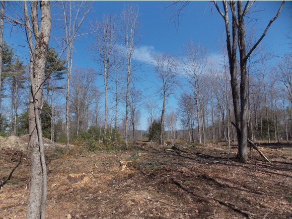 99.2 Clement Hill Road Hopkinton, NH 03229 - Photo 1 of 3