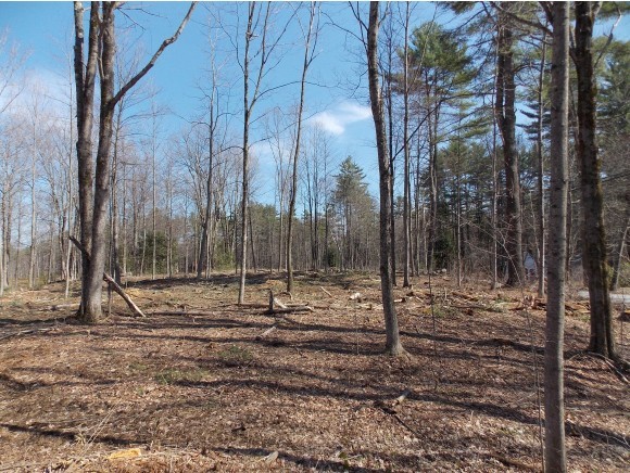 99.2 Clement Hill Road Hopkinton, NH 03229 - Photo 2 of 3