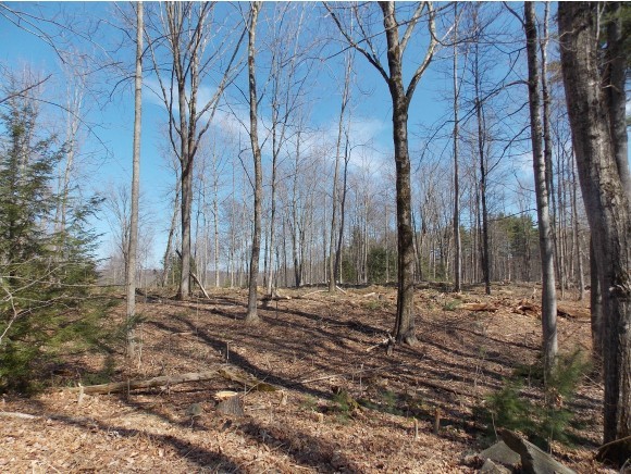 99.2 Clement Hill Road Hopkinton, NH 03229 - Photo 3 of 3