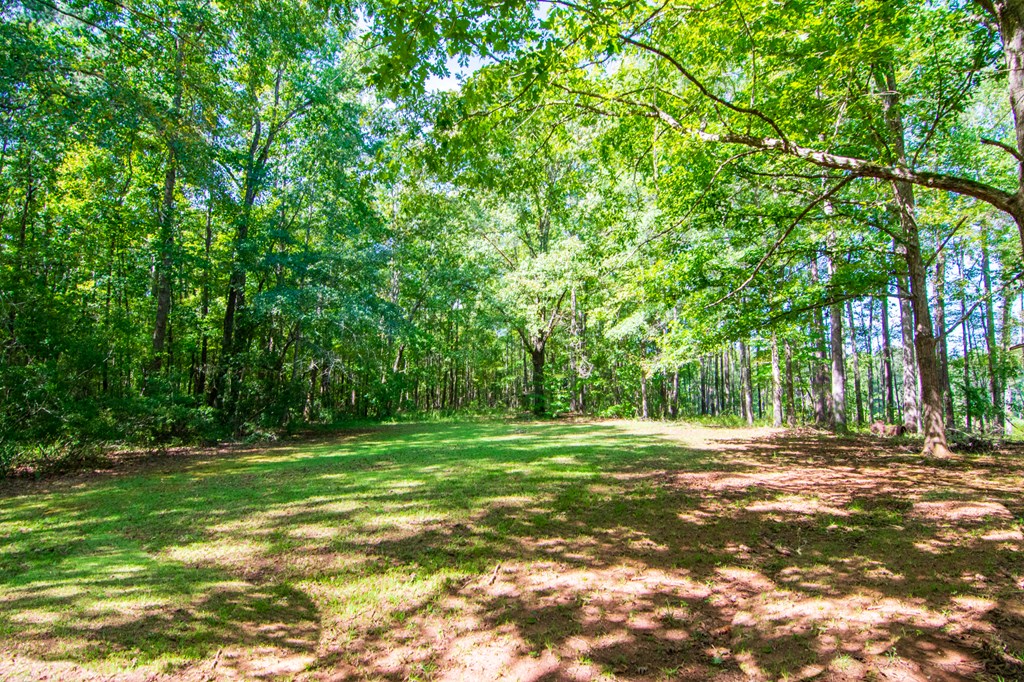 2031 Alabama Road Waverly Hall, GA 31831 - Photo 54 of 55 Gallery Image 54