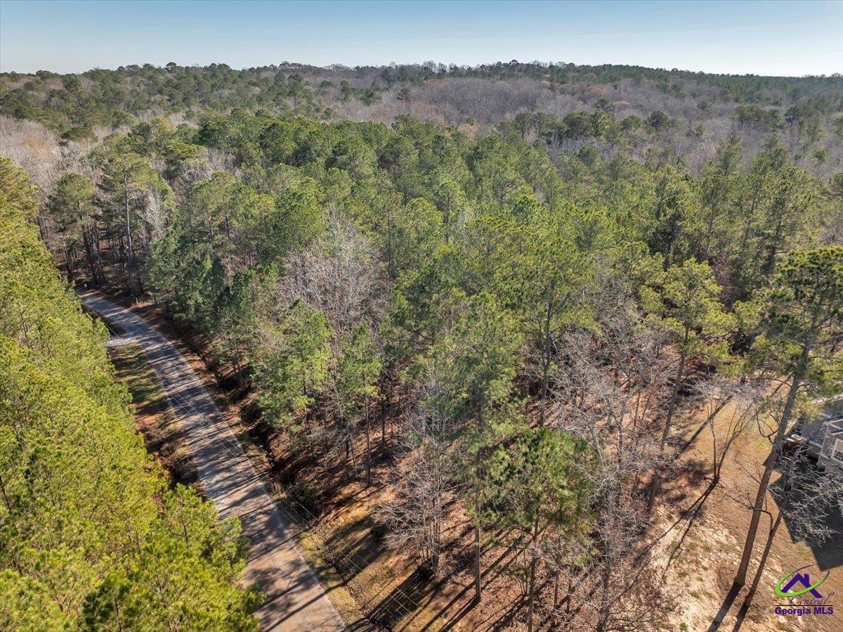 0 Renouf Road Forsyth, GA 31029 - Photo 5 of 18