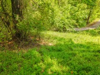 Lot 19-38 Plainview Road Nancy, KY 42544 - Photo 26 of 39 Plain View Photo-12