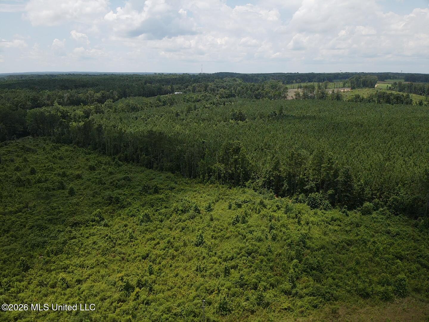 131 B County Road Morton, MS 39117 - Photo 4 of 25 2026-07-05-13-42-07-283