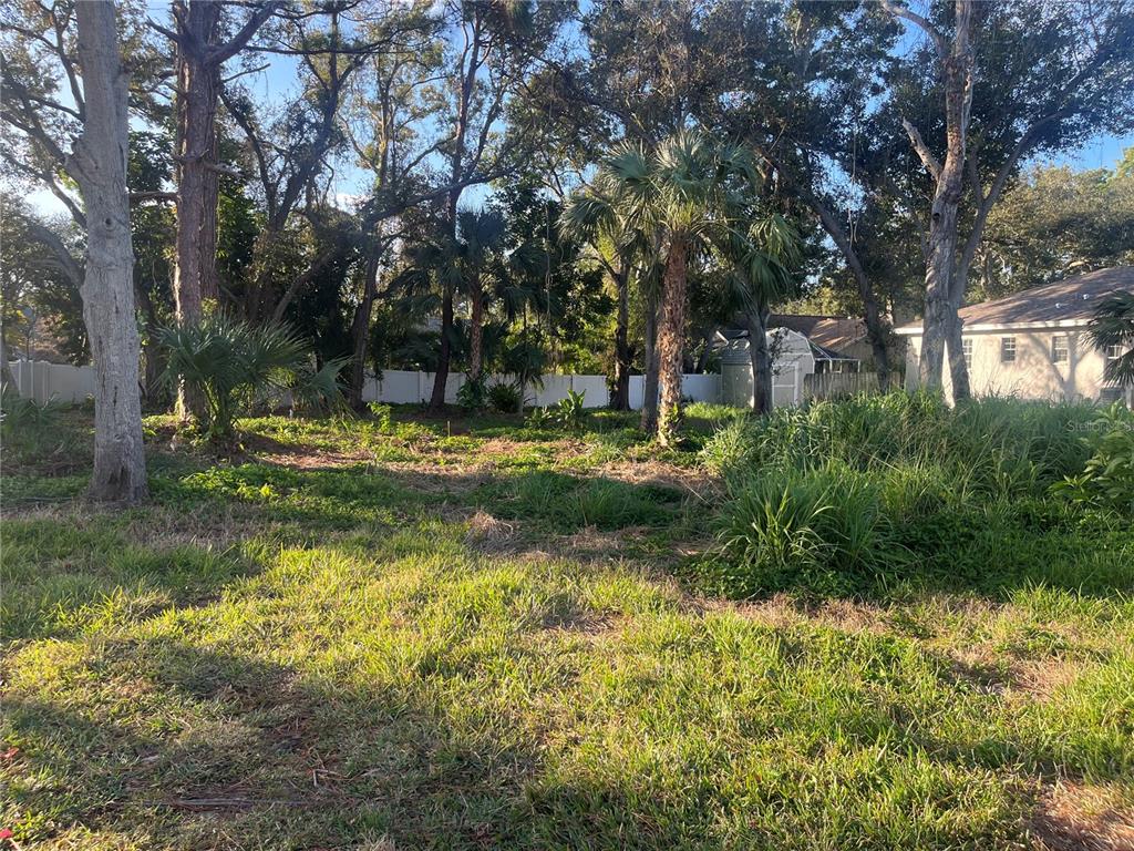 77th Avenue Seminole, FL 33776 - Photo 2 of 13 a view of a tree in a yard