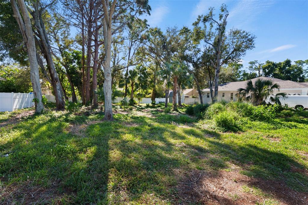 77th Avenue Seminole, FL 33776 - Photo 3 of 13 a view of backyard with tree
