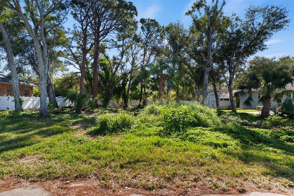 77th Avenue Seminole, FL 33776 - Photo 4 of 13 a view of backyard with green space