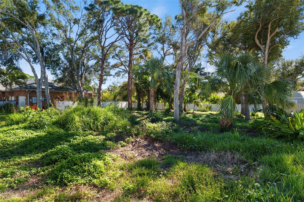 77th Avenue Seminole, FL 33776 - Photo 5 of 13 a view of a garden with plants and trees