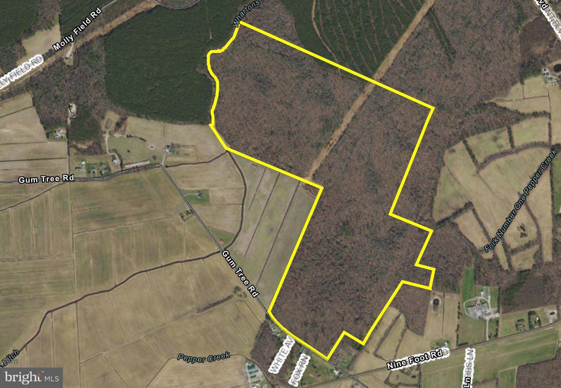 0 Gum Tree Road Dagsboro, DE 19939 - Photo 1 of 1 Gallery Image 1