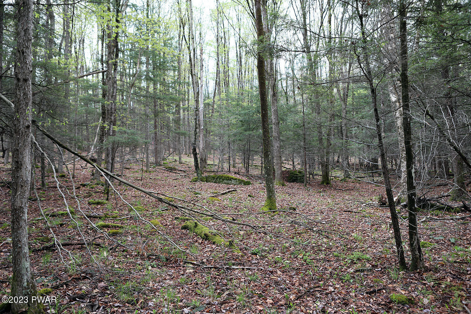 Lot E Spry Road Honesdale, PA 18431 - Photo 8 of 23