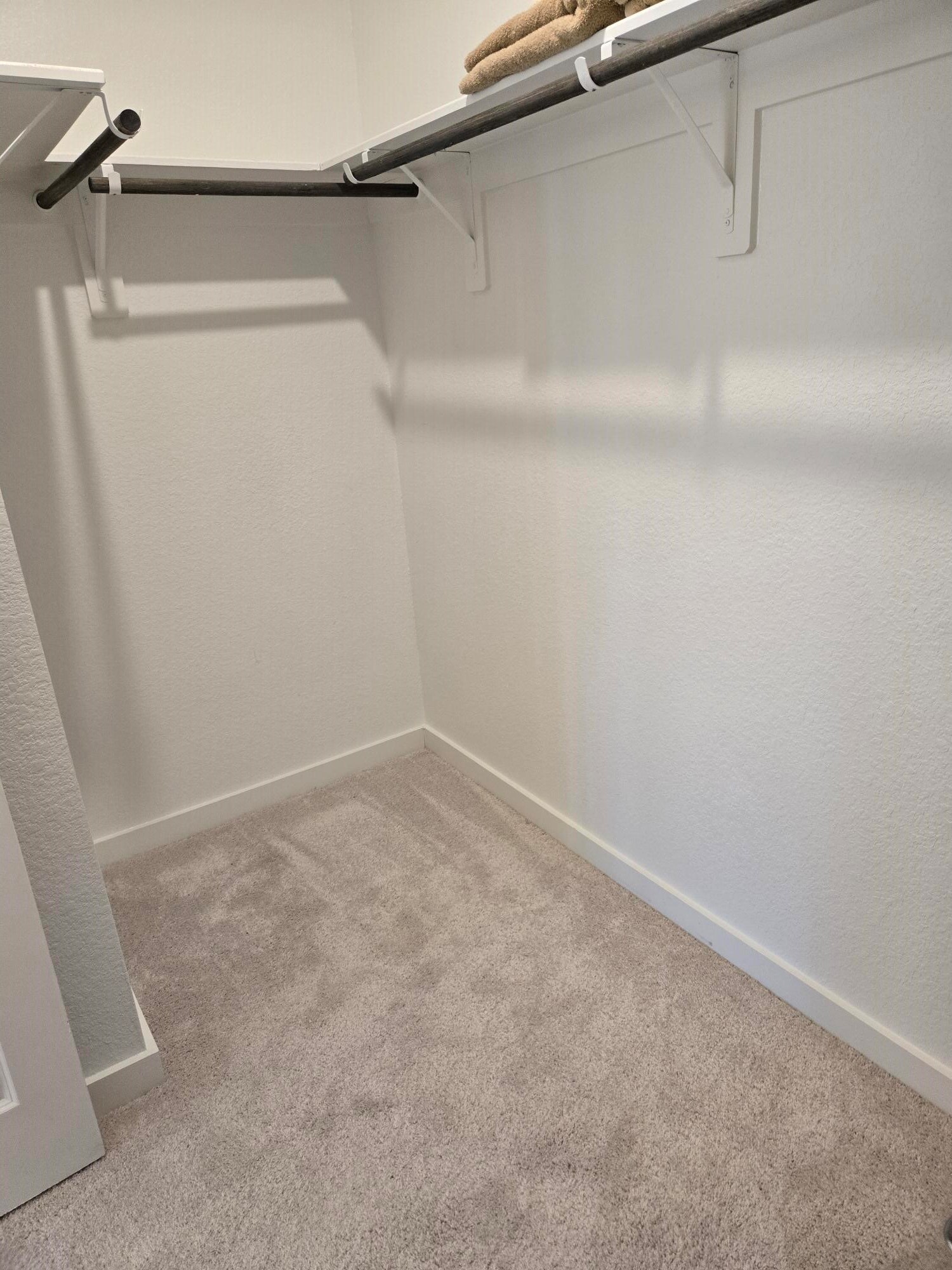 7844 Axis Rdg Drive Magnolia, TX 77354 - Photo 13 of 14