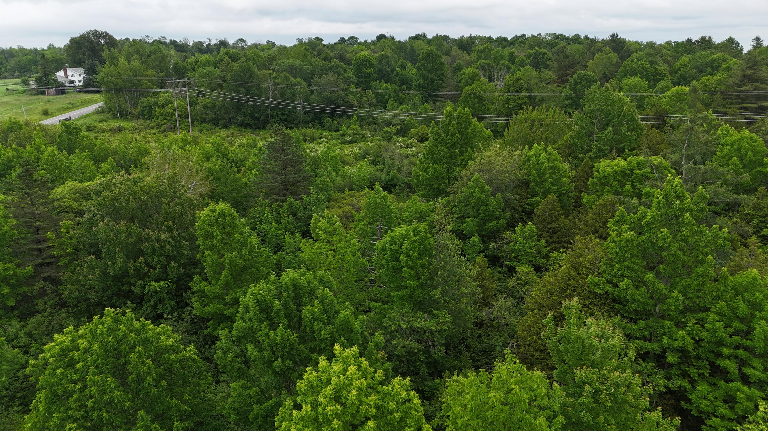 0 Main Street Ripley, ME 04930 - Photo 2 of 15 DJI_20250620044754_0069_D