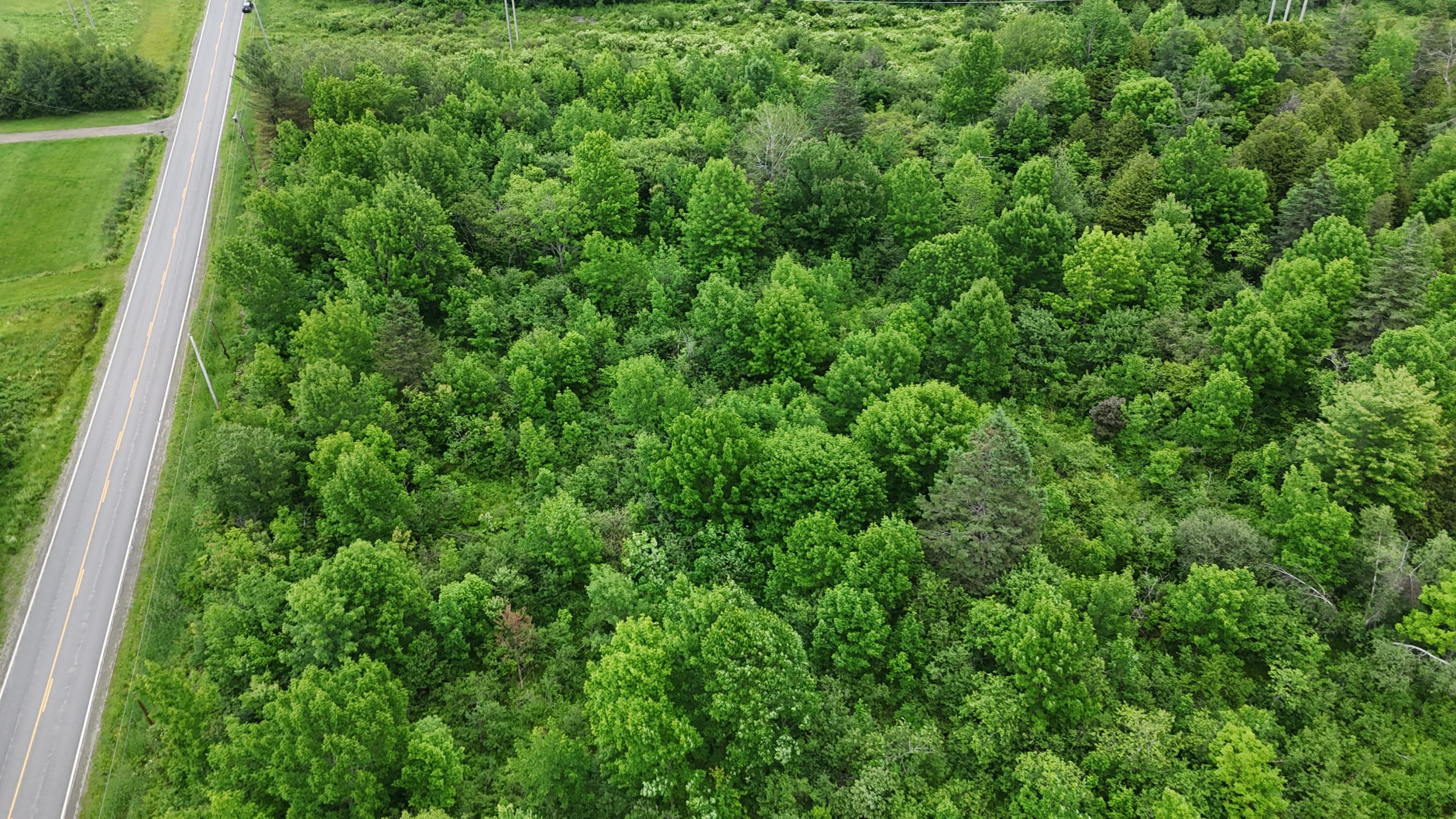 0 Main Street Ripley, ME 04930 - Photo 3 of 15 DJI_20250620044846_0071_D