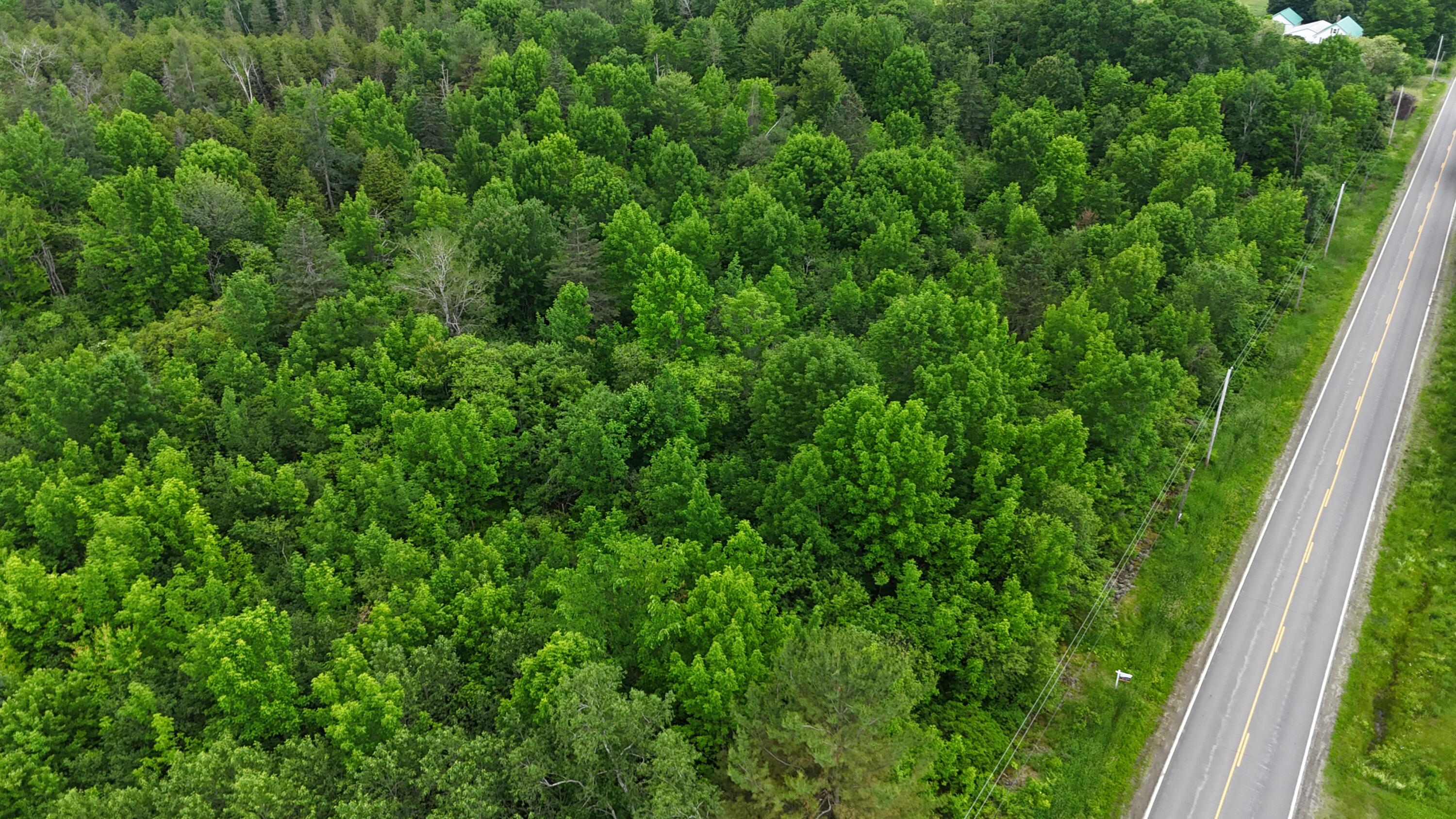 0 Main Street Ripley, ME 04930 - Photo 4 of 15 DJI_20250620044936_0073_D