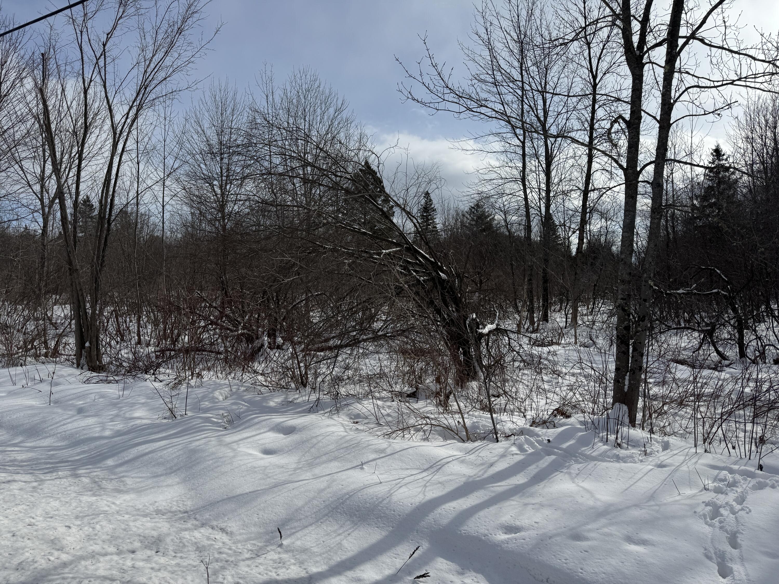 0 Main Street Ripley, ME 04930 - Photo 6 of 15 IMG_6944