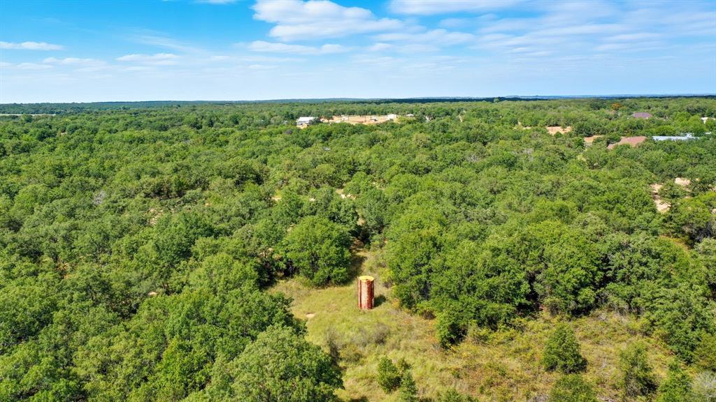 785 Jordan Road Poolville, TX 76487 - Photo 12 of 17 Drone / aerial view of a heavily wooded area