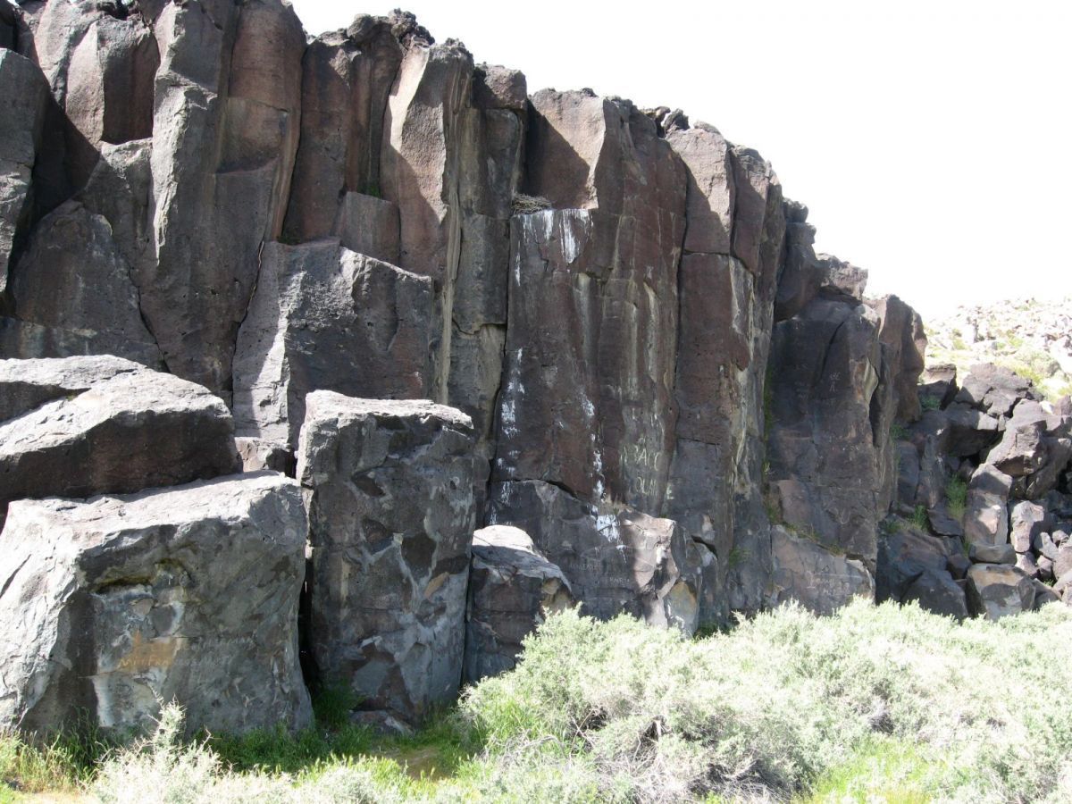 a view of a backyard of the house