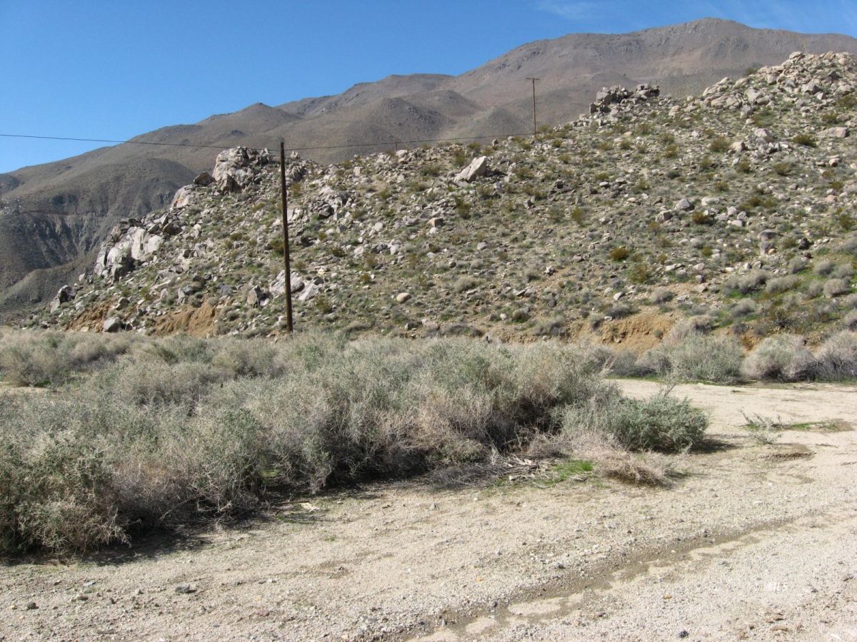 350 Little Lake Road Inyokern, CA 93527 - Photo 13 of 26 a view of a large mountain with lots of trees