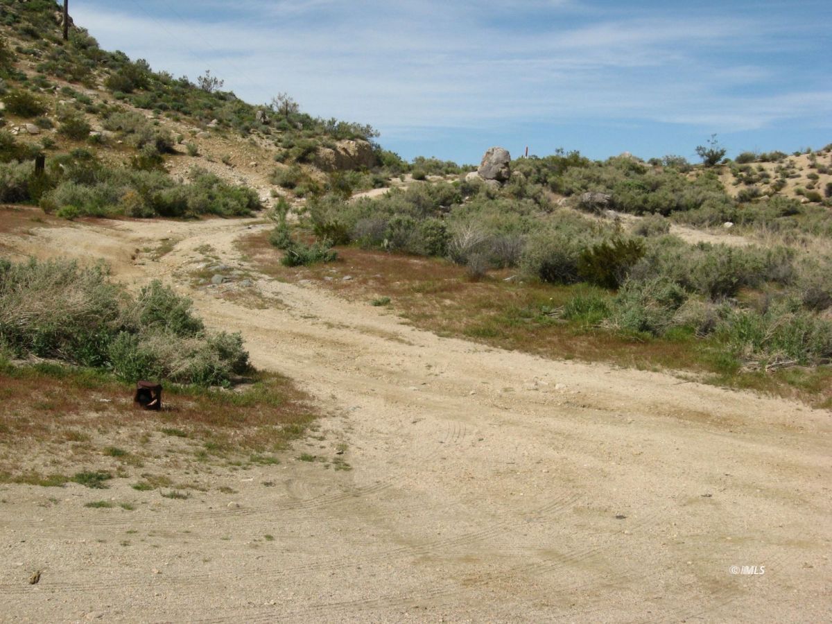 350 Little Lake Road Inyokern, CA 93527 - Photo 19 of 26 a view of a dirt road with large trees