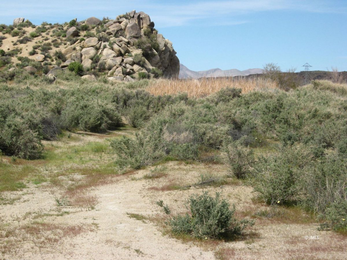 350 Little Lake Road Inyokern, CA 93527 - Photo 20 of 26 a view of a yard with a mountain