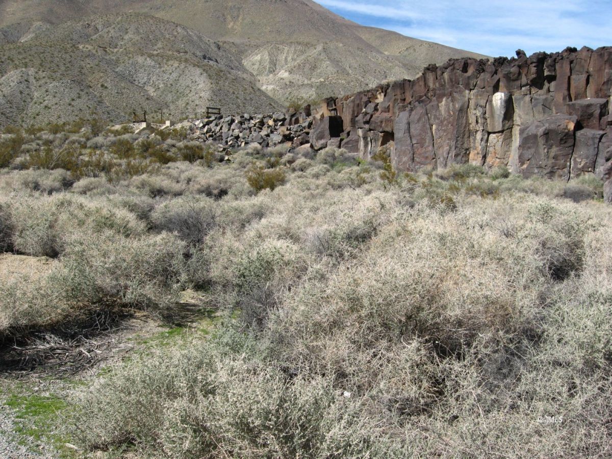 350 Little Lake Road Inyokern, CA 93527 - Photo 21 of 26 a view of a dry yard with trees