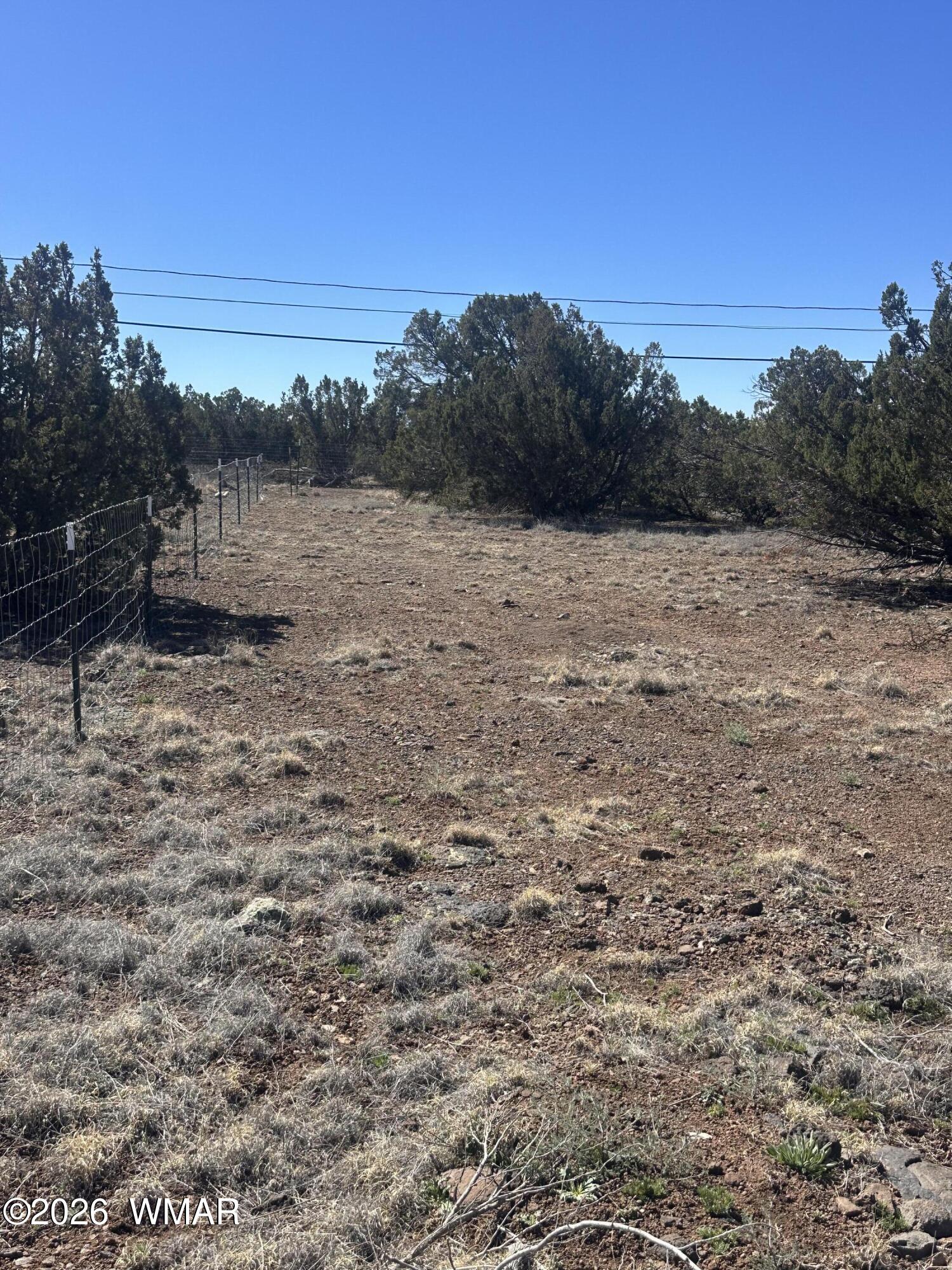 8489 Rifle Drive Show Low, AZ 85901 - Photo 1 of 3 Property