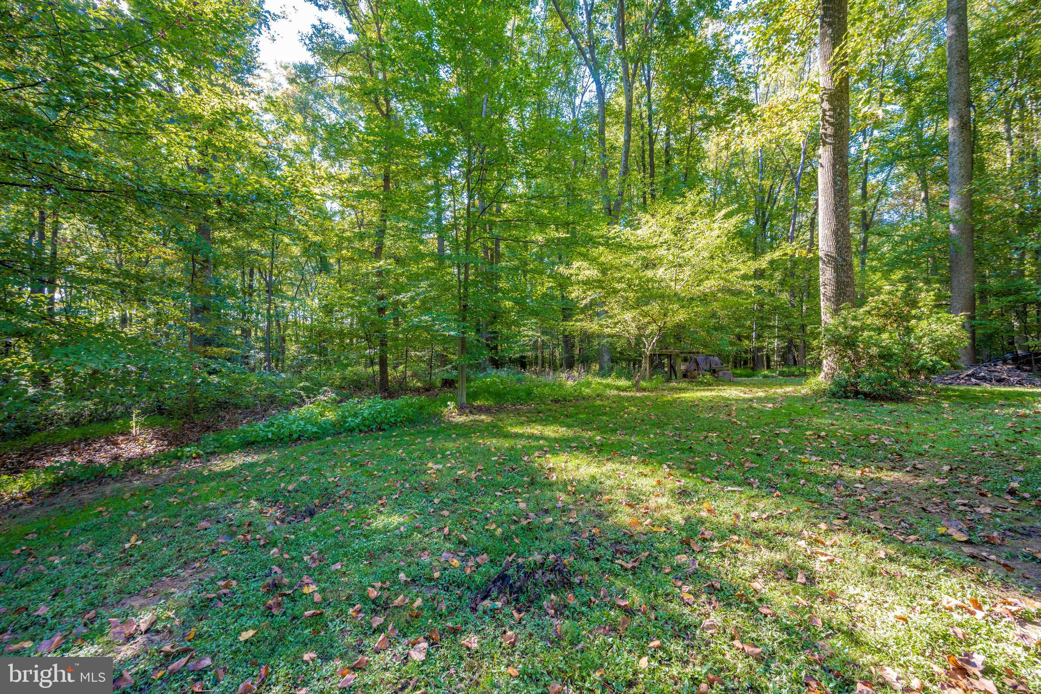 18605 Brooke Road Sandy Spring, MD 20860 - Photo 82 of 116 Gallery Image 82