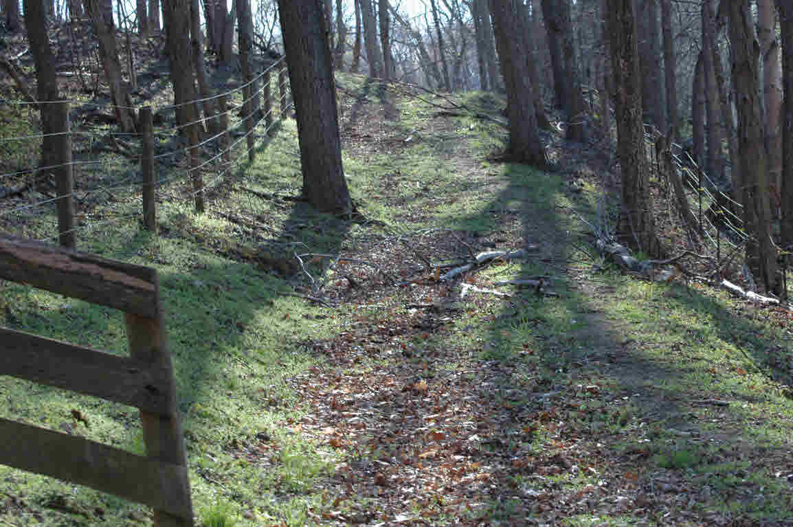 Lot E Springdale Road Pearisburg, VA 24134 - Photo 7 of 20 Gallery Image 7