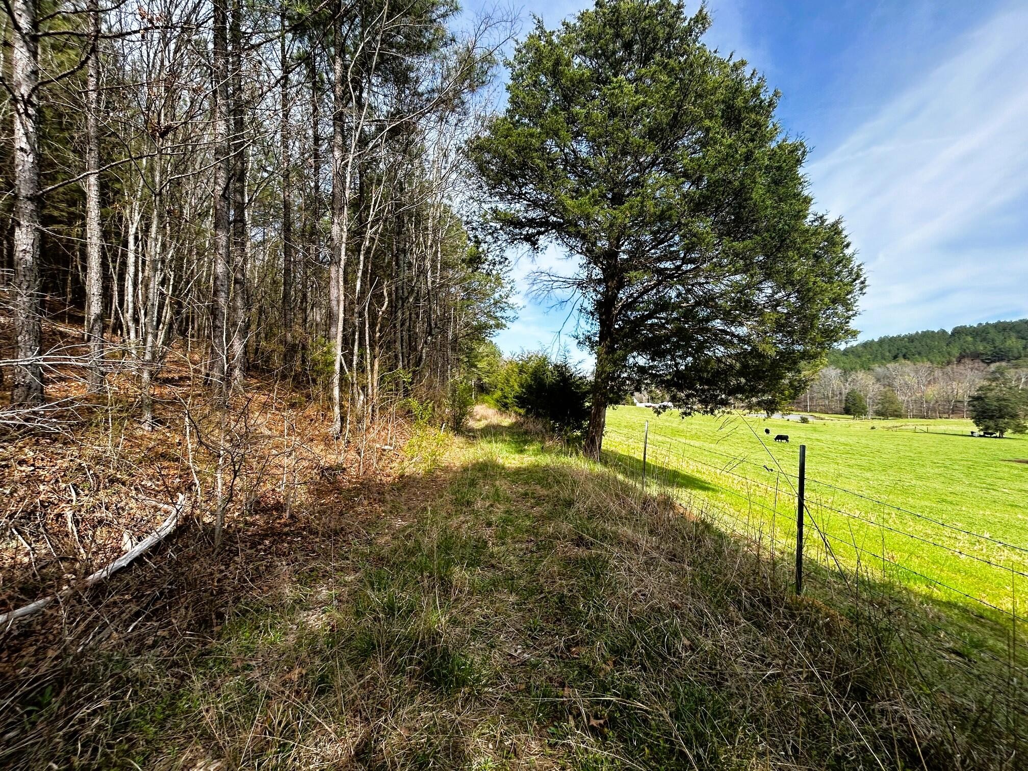 7 Southwest Owl Hollow Road McDonald, TN 37353 - Photo 12 of 32