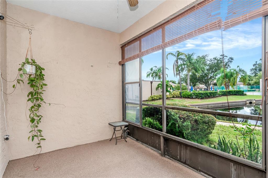 9700 Starkey Road, Unit 113 Seminole, FL 33777 - Photo 19 of 38 Gallery Image 19