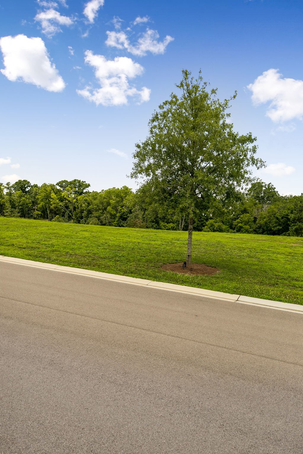 7588 Trident Ridge Road College Grove, TN 37046 - Photo 22 of 26