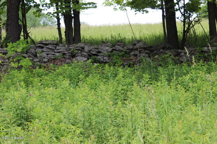1049 Swoyer Road Lake Ariel, PA 18436 - Photo 8 of 31