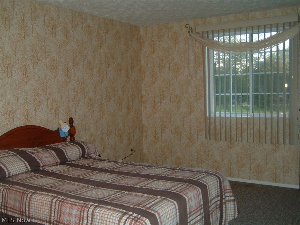 1160 Salt Springs Road Warren, OH 44481 - Photo 8 of 30 Gallery Image 8