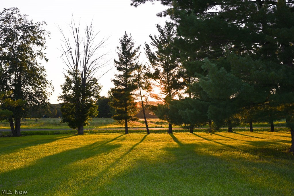 4126 Alliance Road Ravenna, OH 44266 - Photo 4 of 30 View from front porch.