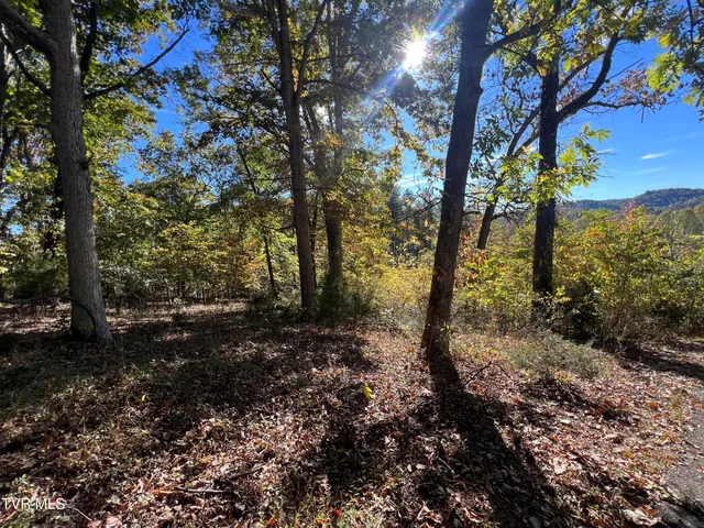 $210,000 | 255 Central Heights Road, Blountville, TN 37617