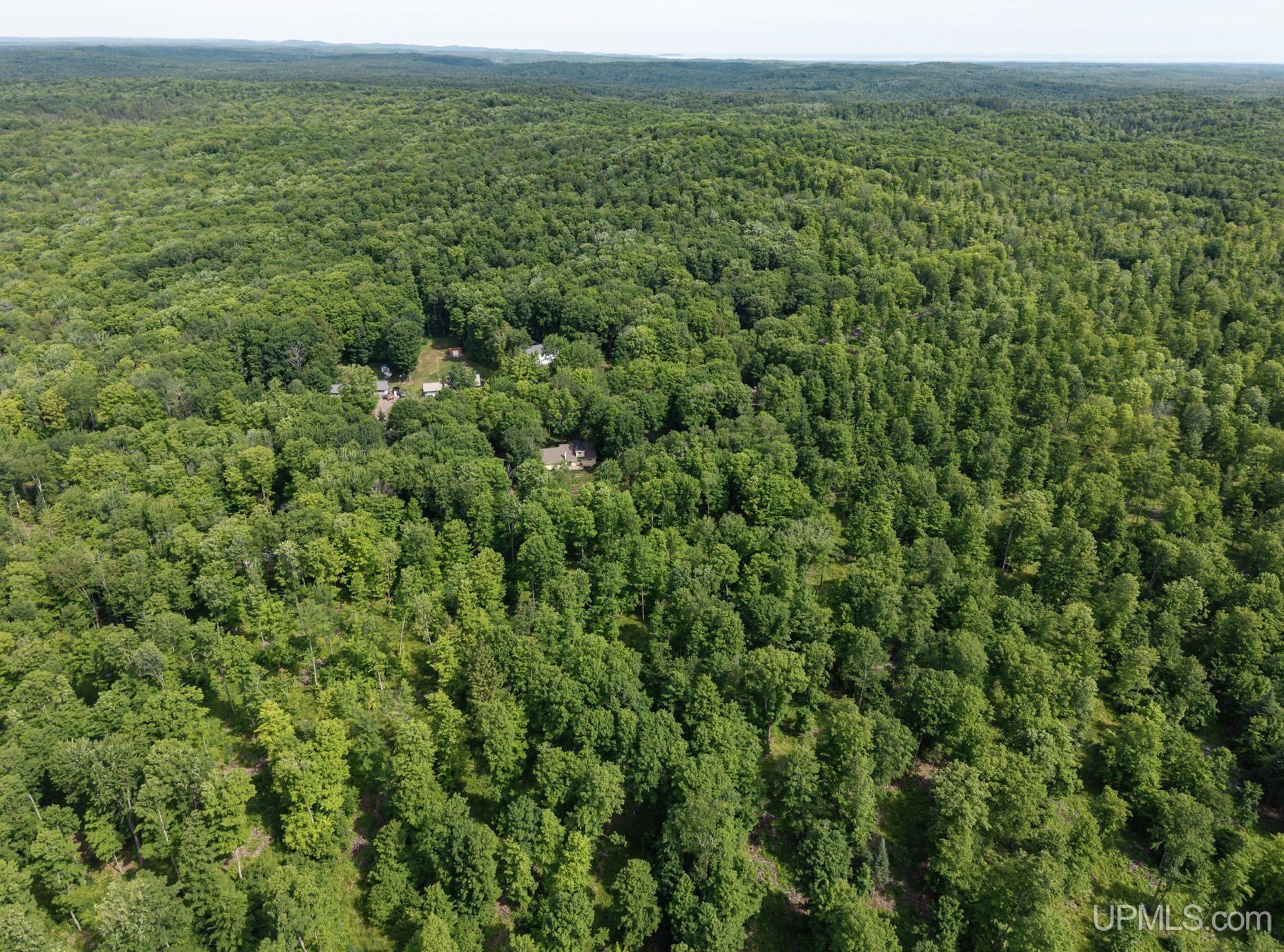 1658 Engman Lake Road Skandia, MI 49885 - Photo 43 of 50